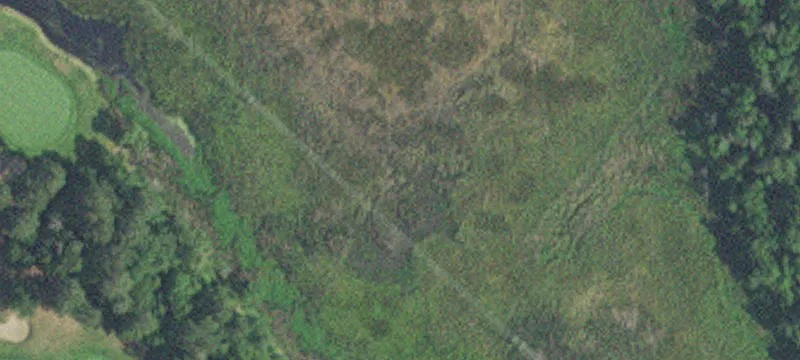 Nisswa, MN 56468