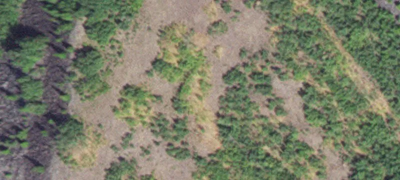 Babbitt, MN 55706