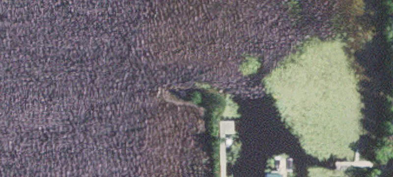 Cook, MN 55723