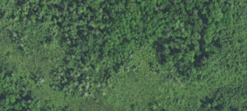 Jenkins, MN 56456