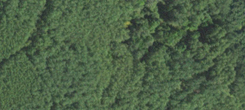 Kinney, MN 55758