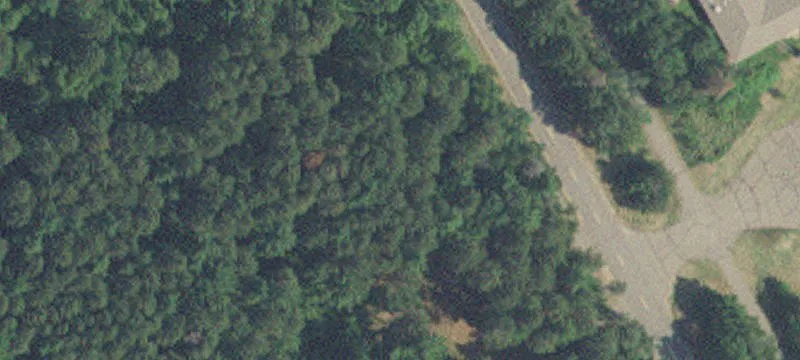 Nisswa, MN 56468