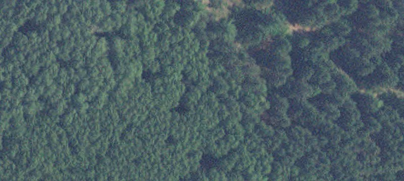 Nisswa, MN 56468