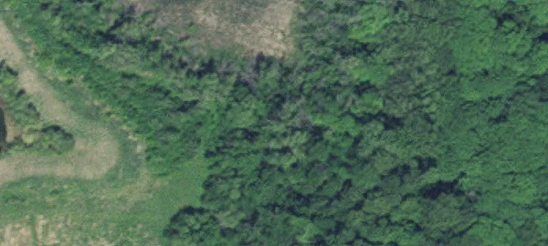 Rogers, MN 55374