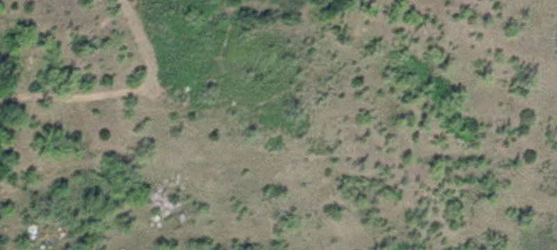 Zimmerman, MN 55398