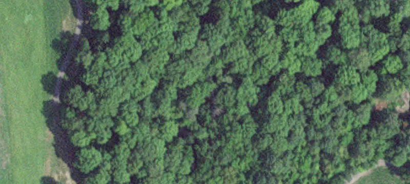 Deerwood, MN 56444