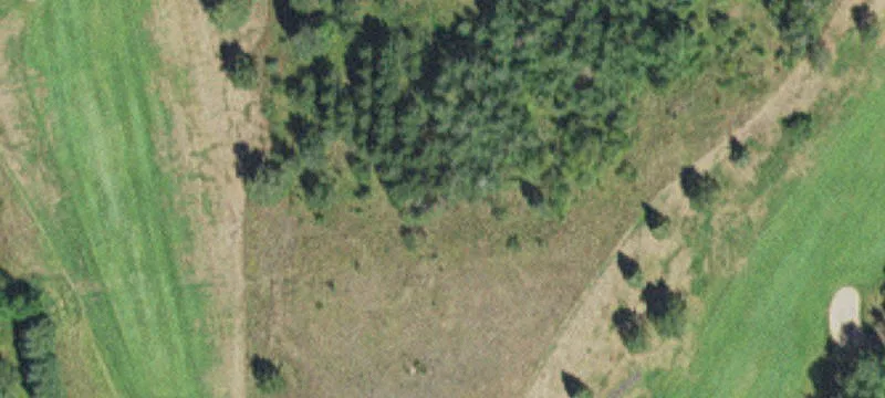 Hibbing, MN 55746
