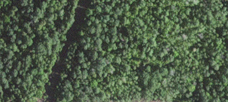 Hoyt Lakes, MN 55750