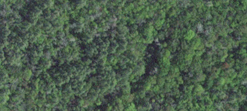 Garrison, MN 56450