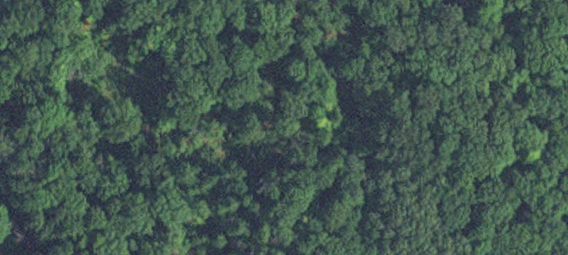 Nisswa, MN 56468