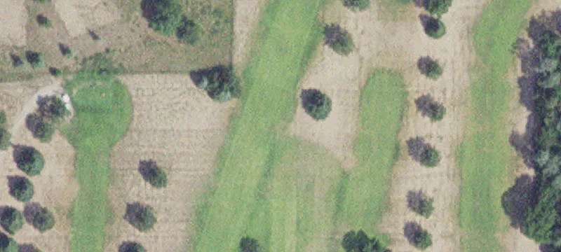 Emily, MN 56447