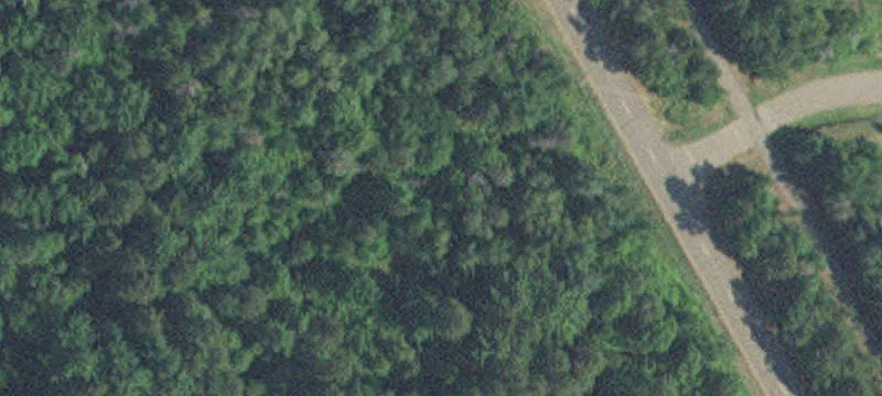 Nisswa, MN 56468