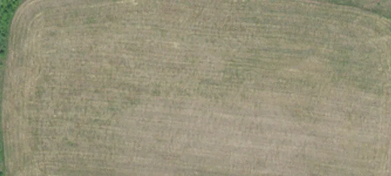 Farmington, MN 55024