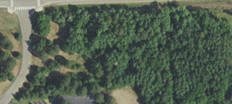 Jenkins, MN 56456