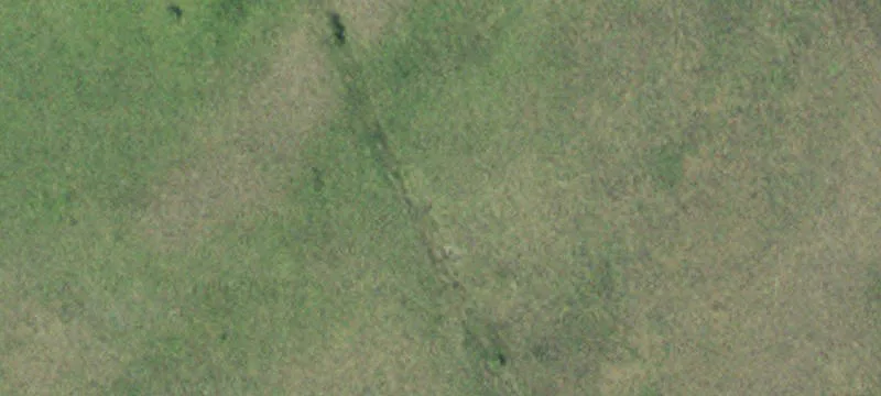 Ulen, MN 56585