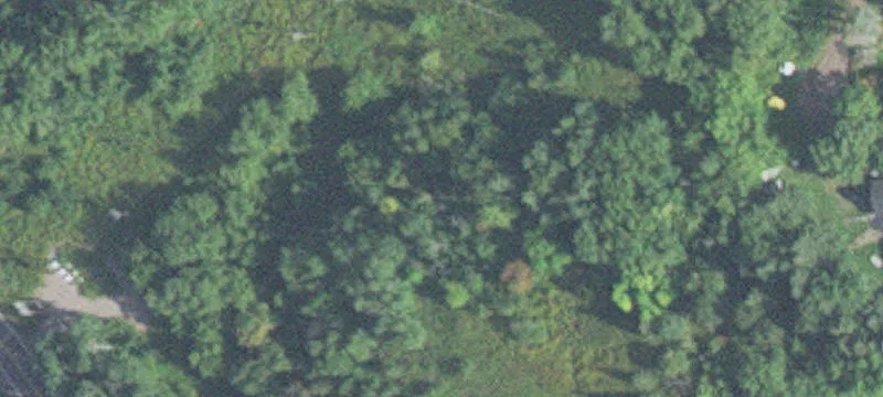 6 Observation Rd