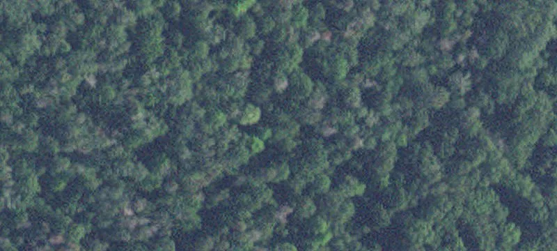 Pequot Lakes, MN 56472