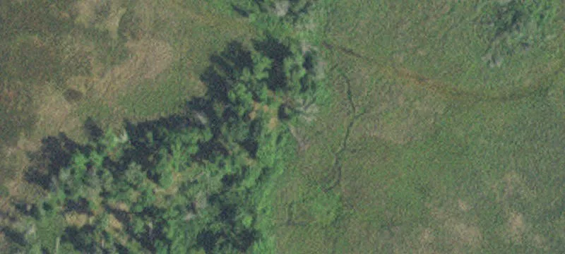 Nisswa, MN 56468