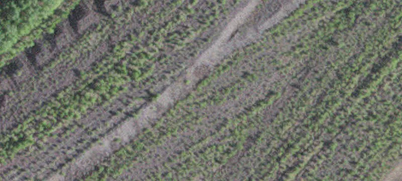 Hoyt Lakes, MN 55750
