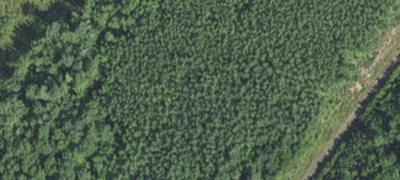 Kinney, MN 55758