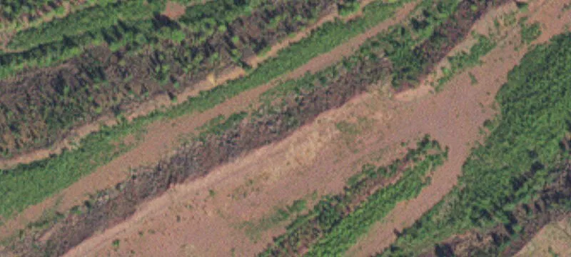Hibbing, MN 55746