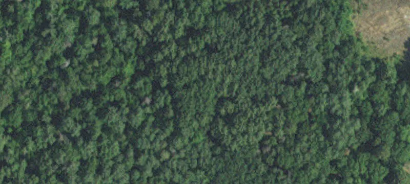 Pequot Lakes, MN 56472