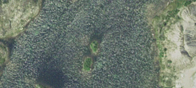 Felton, MN 56536