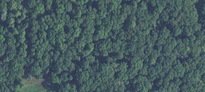 Pequot Lakes, MN 56472