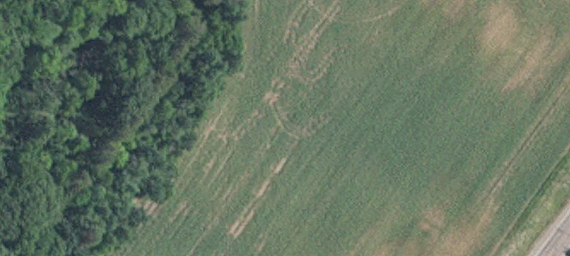 Afton, MN 55001