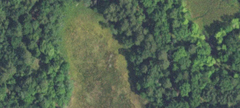 Nisswa, MN 56468