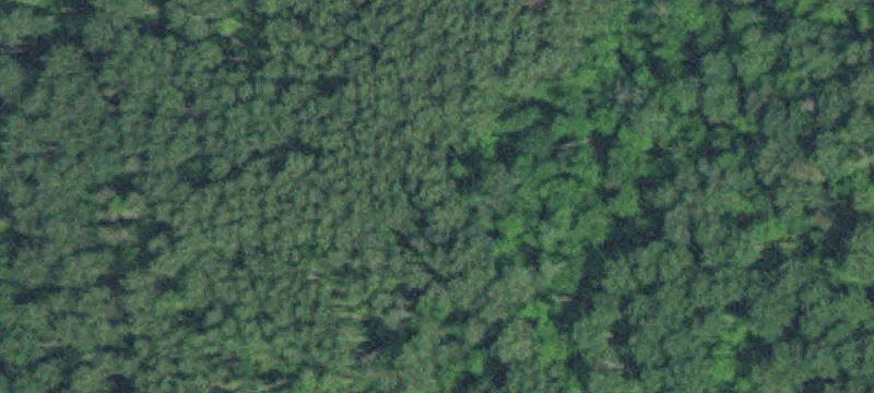 Pequot Lakes, MN 56472
