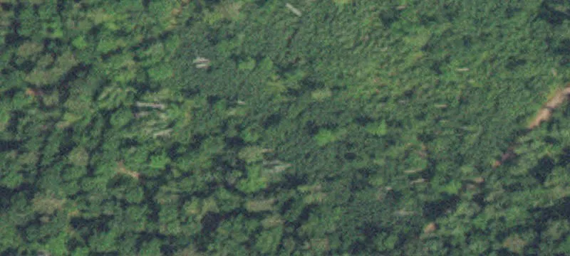 Pequot Lakes, MN 56472