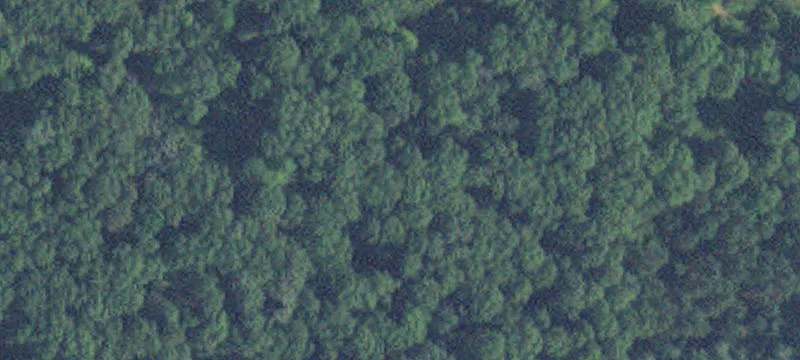 Pequot Lakes, MN 56472