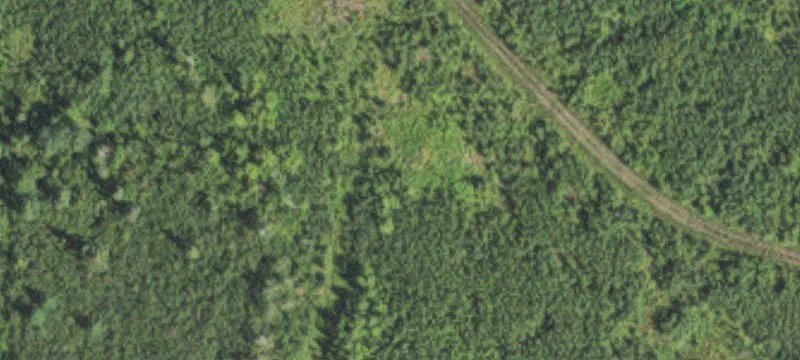 Britt, MN 55710