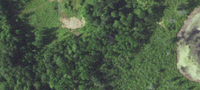 Garrison, MN 56450