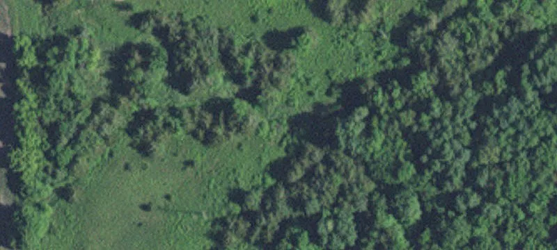 Shafer, MN 55074