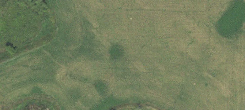 Gully, MN 56646