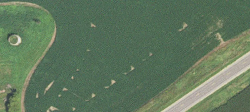 Winona, MN 55987
