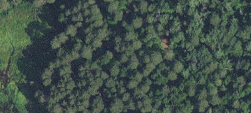 Pequot Lakes, MN 56472