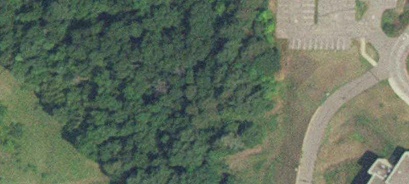 Pequot Lakes, MN 56472