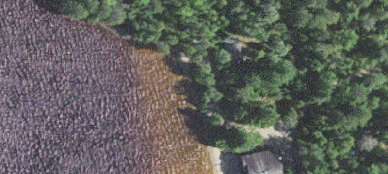 Cook, MN 55723