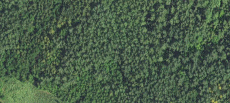 Kinney, MN 55758