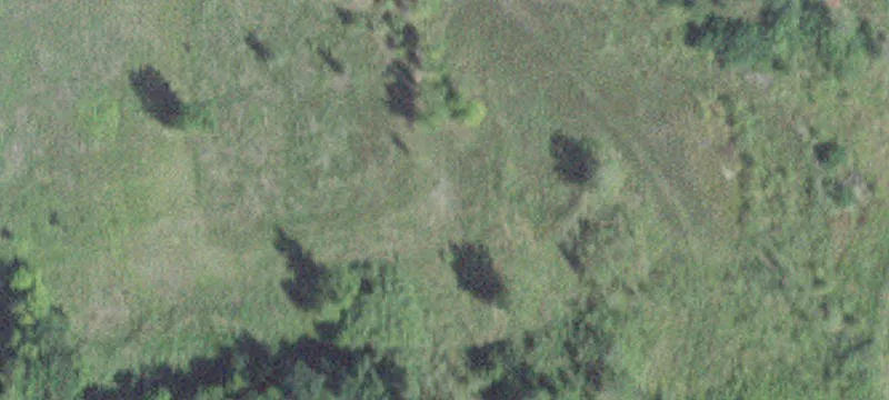 Faribault, MN 55021