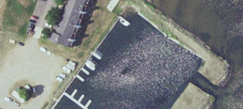 Garrison, MN 56450