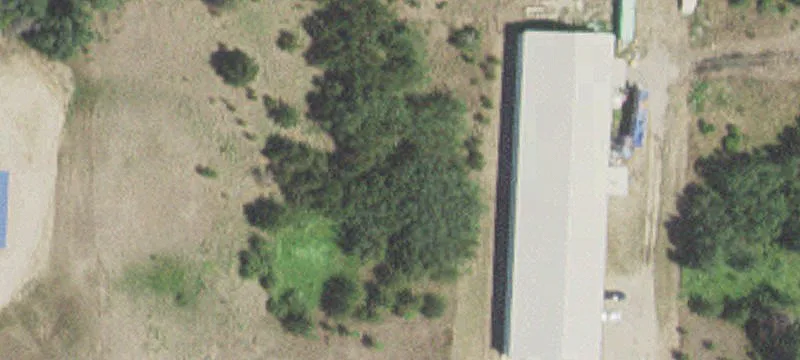  Pine