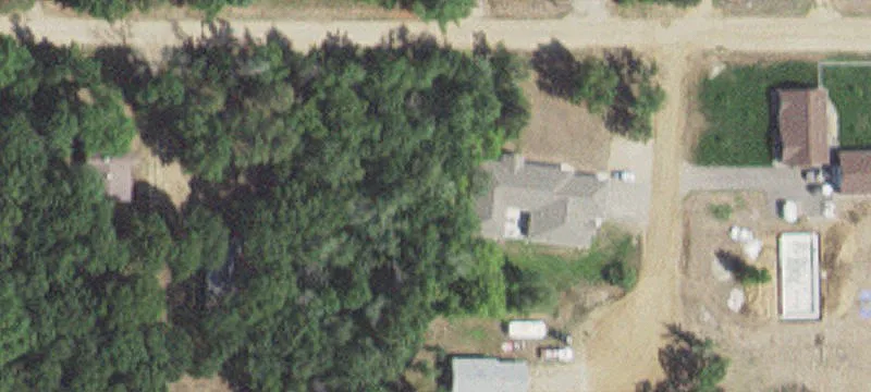 Pine