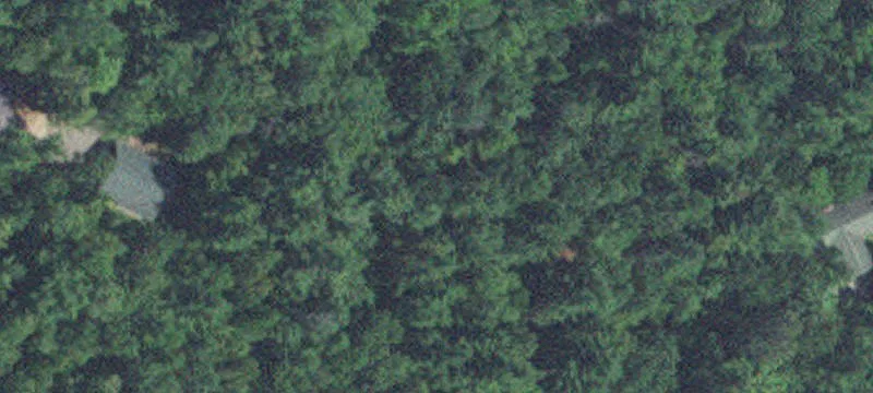 Hackensack, MN 56452