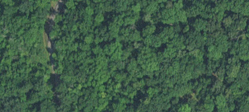 Nisswa, MN 56468