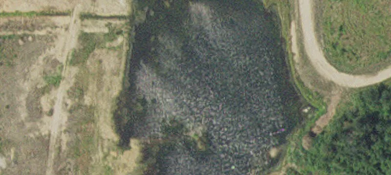 Staples, MN 56479