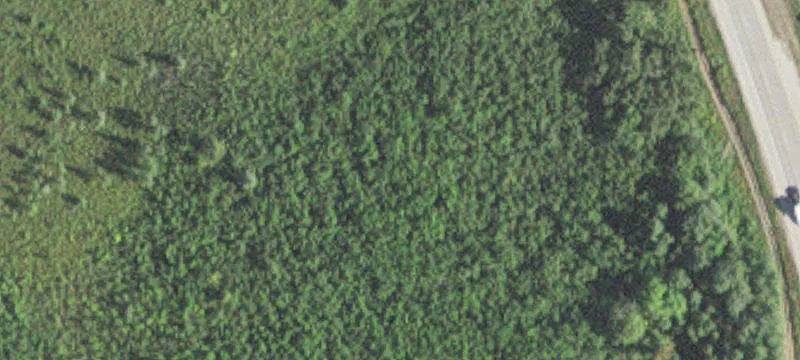 Cloquet, MN 55720